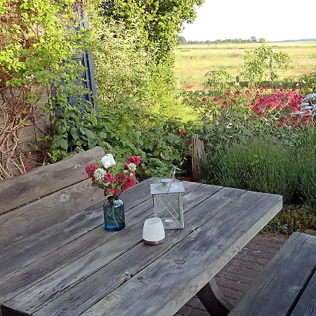 Boddengarten Stertur